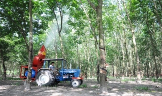 “Hai lúa” Tân Châu chế máy phun thuốc đa năng