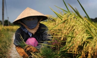 Trảng Bàng: Tập huấn nâng cao năng lực thực hiện Luật Bình đẳng giới