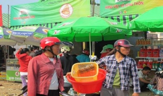 Chỉ đạo, điều hành của Chính phủ, Thủ tướng Chính phủ nổi bật trong tuần