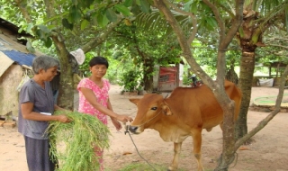 CLB nữ từ thiện Tây Ninh: Trao vốn hỗ trợ cho phụ nữ nghèo huyện Tân Châu