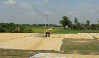 Thành lập ấp mới thuộc huyện Trảng Bàng