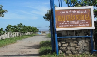 Xã Suối Đá, Dương Minh Châu: Trại chăn nuôi gà gây ô nhiễm môi trường