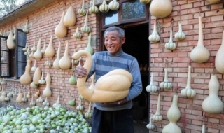 Bầu thiên nga tự nhiên đẹp kỳ lạ
