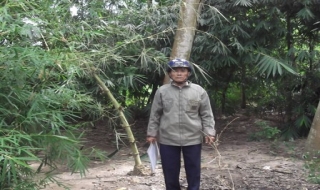13 năm đi khiếu nại yêu cầu thực hiện quyết định của tỉnh