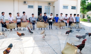 Công an Tân Châu: Phá một vụ đá gà ăn tiền, lắc tài xỉu