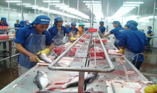 Trảng Bàng: Tiến hành hội nghị Ban Chấp hành Đảng bộ huyện nhiệm kỳ 2010-2015