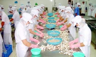 Đề xuất ưu đãi thuế đối với doanh nghiệp đầu tư mở rộng