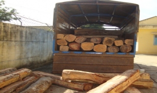 Tân Châu: Bắt một vụ vận chuyển gỗ lậu