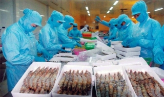 Kim ngạch xuất khẩu tôm cả năm đạt 2,25 tỷ USD