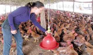 Nâng hơn 1,5 lần mức hỗ trợ dân sau thiên tai, dịch bệnh
