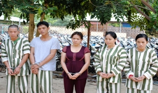Băng trộm chó ở biên giới sa lưới