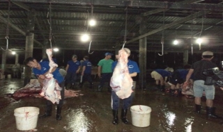 Kiểm tra các cơ sở giết mổ gia súc tại huyện Trảng Bàng