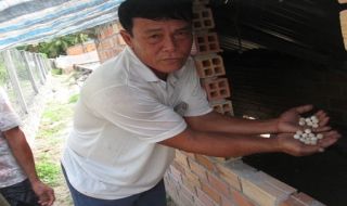 Hội Nông dân huyện Dương Minh Châu: Đơn vị dẫn đầu trong các phong trào thi đua