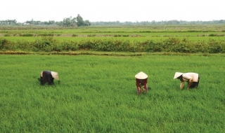 Một số điểm mới quan trọng trong dự thảo Luật Đất đai