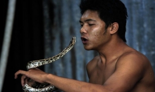 Những người thích sống với... rắn
