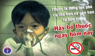 Dự kiến trích Quỹ phòng, chống tác hại của thuốc lá từ 1.5.2013