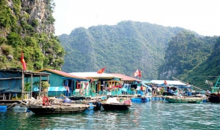Bình yên làng chài Cửa Vạn