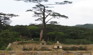 Vãn cảnh Thông Đàn