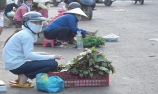 Hấp dẫn “đặc sản” của núi rừng Đắk Nông