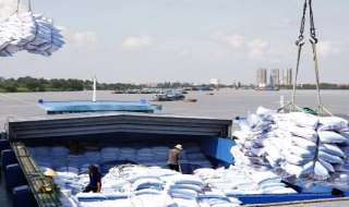 Việt Nam và Guinea-Bissau đẩy mạnh hợp tác thương mại