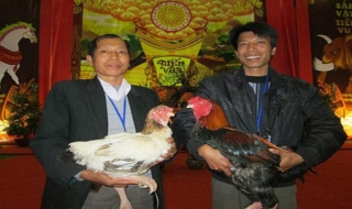 Gà Hồ 'tiến vua' tại chợ Xuân Giảng Võ 2014