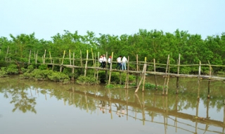 Thái Bình: Đánh thức tiềm năng du lịch sinh thái cồn Đen