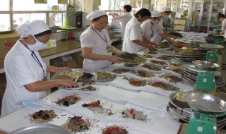 Ra mắt chi hội Đông y của người Việt Nam tại Nga