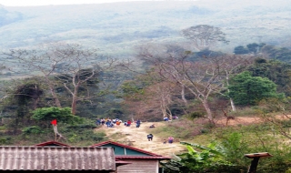 Đập trống đêm trăng