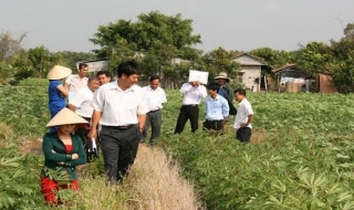 HĐND Thành phố Tây Ninh: Giám sát việc giải quyết khiếu nại của công dân