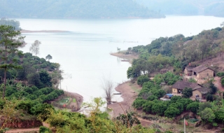 Bức tranh Sơn Hải