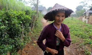 Bí ẩn mộ đá có 12 bông hoa bằng vàng ở Hòa Bình