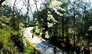 Khao Mang hoang sơ mời gọi