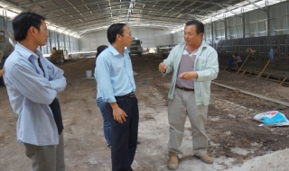Xử phạt một cơ sở nuôi gà vi phạm quy định bảo vệ môi trường