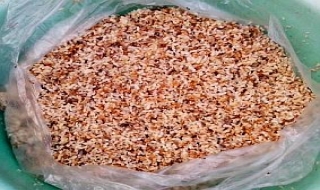 Tiết Thanh minh và món trứng kiến của người Tày