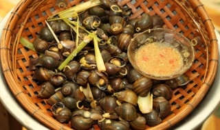 Món ăn phòng chống sỏi tiết niệu