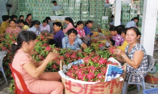 Hai nhãn hiệu Việt Nam được Mỹ cấp chứng nhận bảo hộ