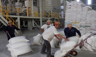 Việt Nam trúng thầu bán 800.000 tấn gạo cho Philippines