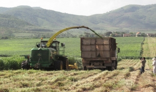 Việt-Hàn xúc tiến hợp tác trong xây dựng nông thôn mới