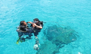 Lặn biển ngắm san hô trong vịnh Nha Trang