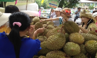 Lễ hội trái cây Nam bộ diễn ra từ ngày 1 đến 8.6