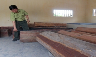 Tân Châu: 6 tháng xảy ra 100 vụ vi phạm lâm luật