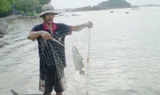 Đi săn cá chẽm làm 'mồi'