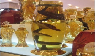 Rượu ngâm gì