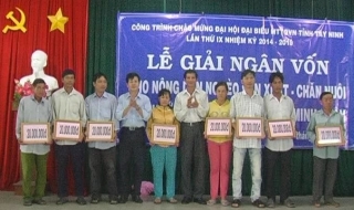 Giải ngân 500 triệu đồng cho nông dân nghèo huyện Dương Minh Châu