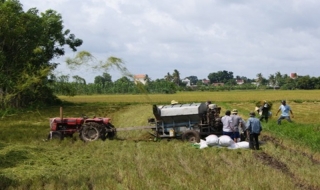 Tiếp tục tăng cường công tác quản lý, sử dụng đất trồng lúa trên địa bàn toàn tỉnh