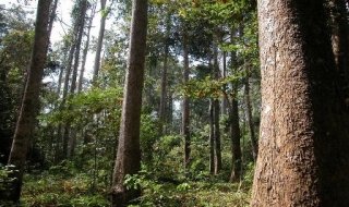 Thăm Chàng Riệc – Tây Ninh