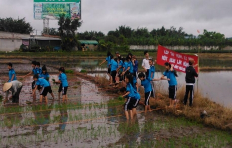 Điểm tin địa phương