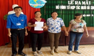 Tân Châu: Ra mắt Tổ hợp tác nuôi gà sạch