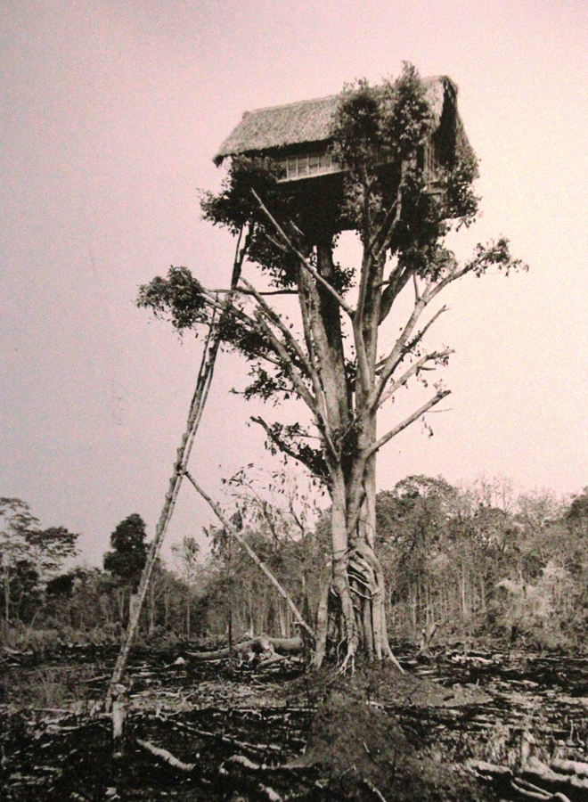 Chòi rẫy được làm trên cây cao. Ảnh: Jean-Marie Duchange