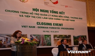 Chính phủ Đức sẽ tiếp tục hỗ trợ cho ngành lâm nghiệp Việt Nam